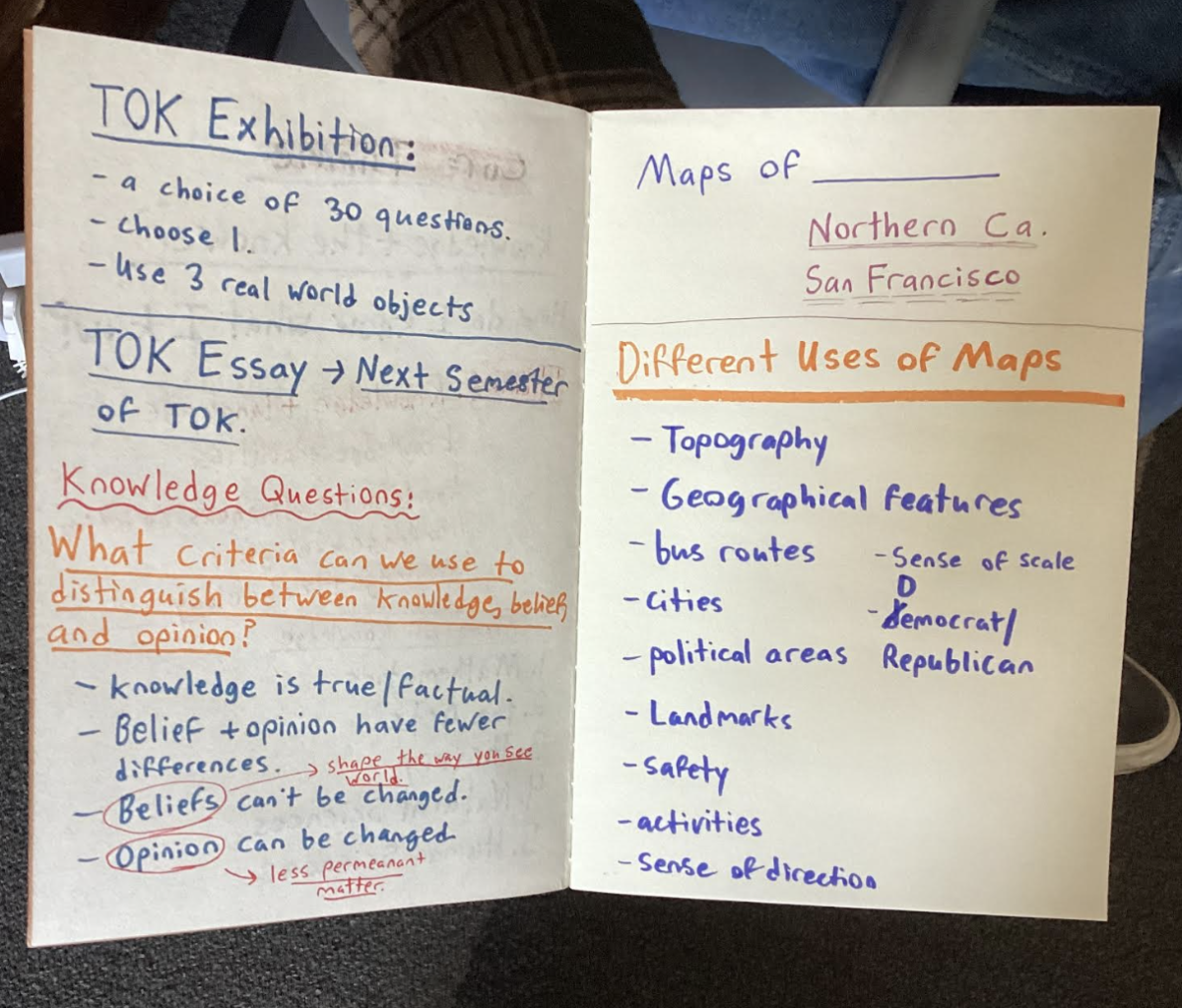 A student's notes from TOK class on Friday 1/24. The class, a prerequisite to receiving the IB diploma, teaches students how to approach knowledge in a different way for their other IB classes